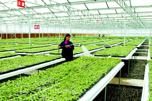 Humic acids can formulate fertilizer for organic agriculture