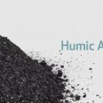 Humic-Acid