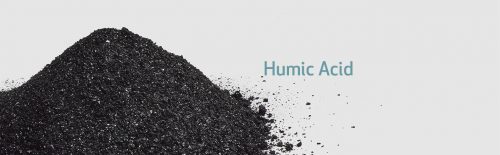 Humic-Acid