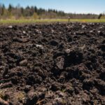 Humic acid and fulvic acid are used for plants