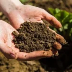 Liquid Humic Acid