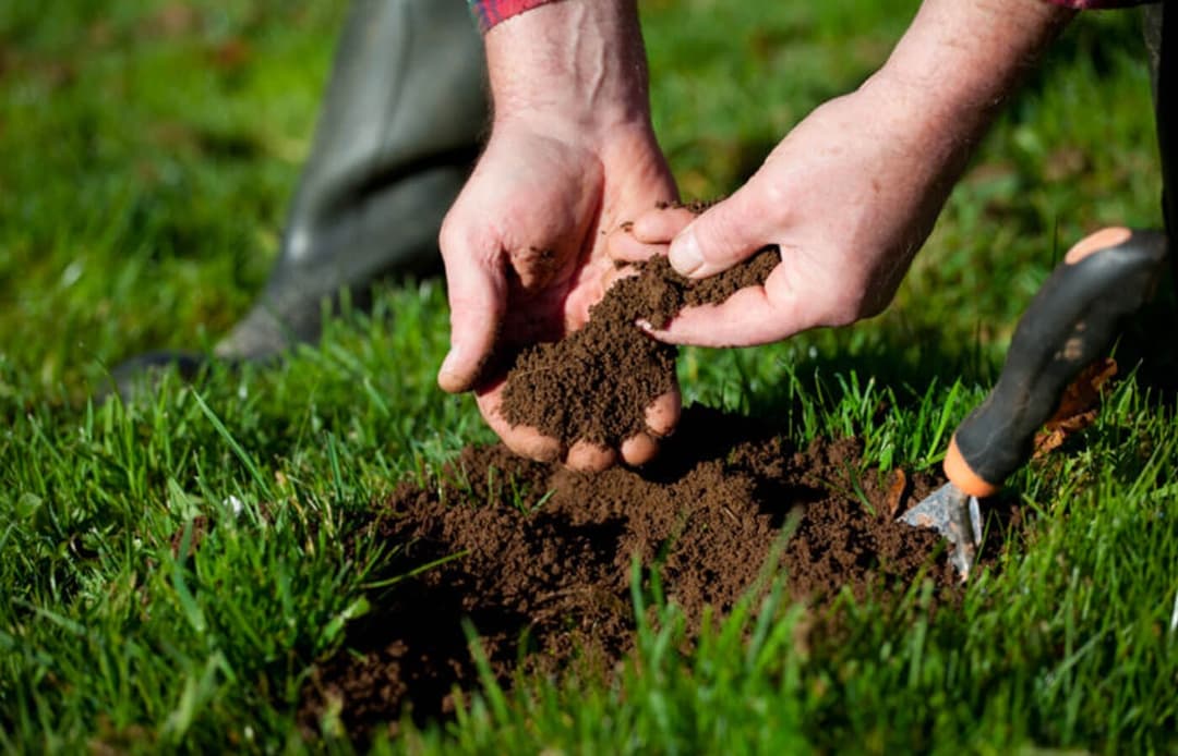 Sodium Humate is used as a soil conditioner