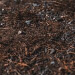 Fulvic acid is used for brain health