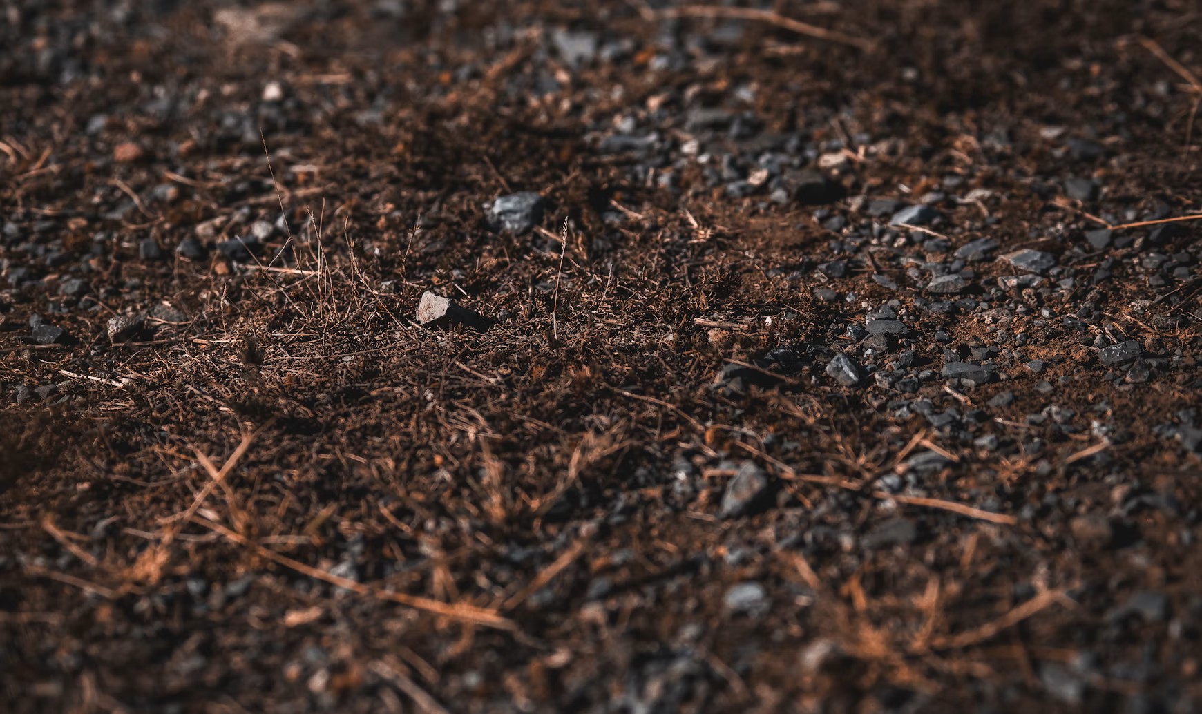 Fulvic acid is used for brain health