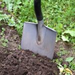 Humic acid derived from lignite