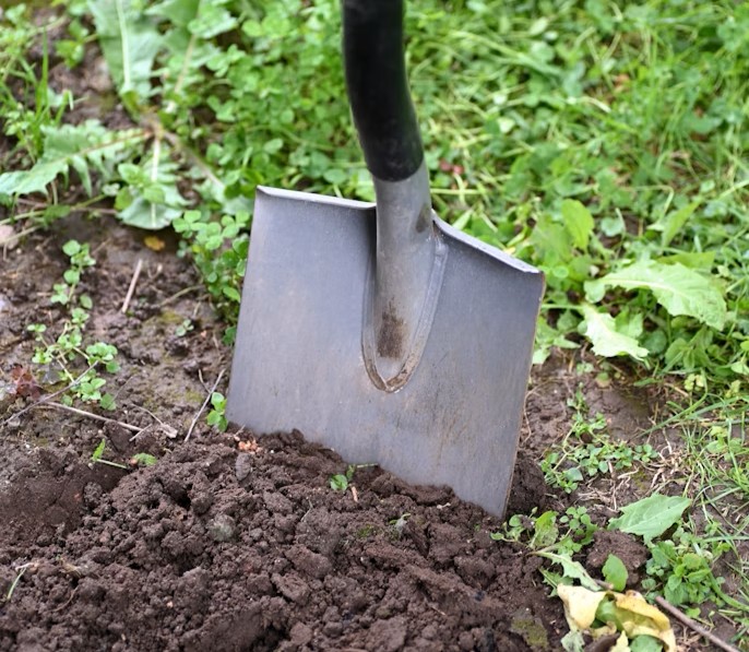 Humic acid derived from lignite