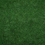 Benefits of applying humate to turf