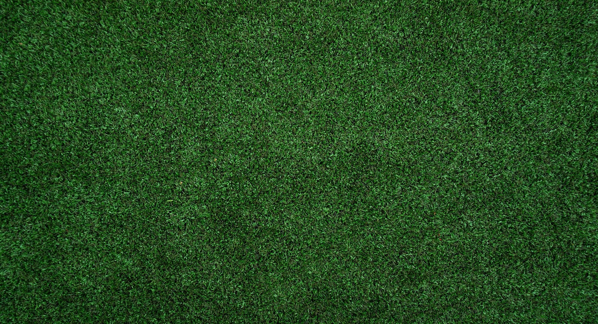 Benefits of applying humate to turf