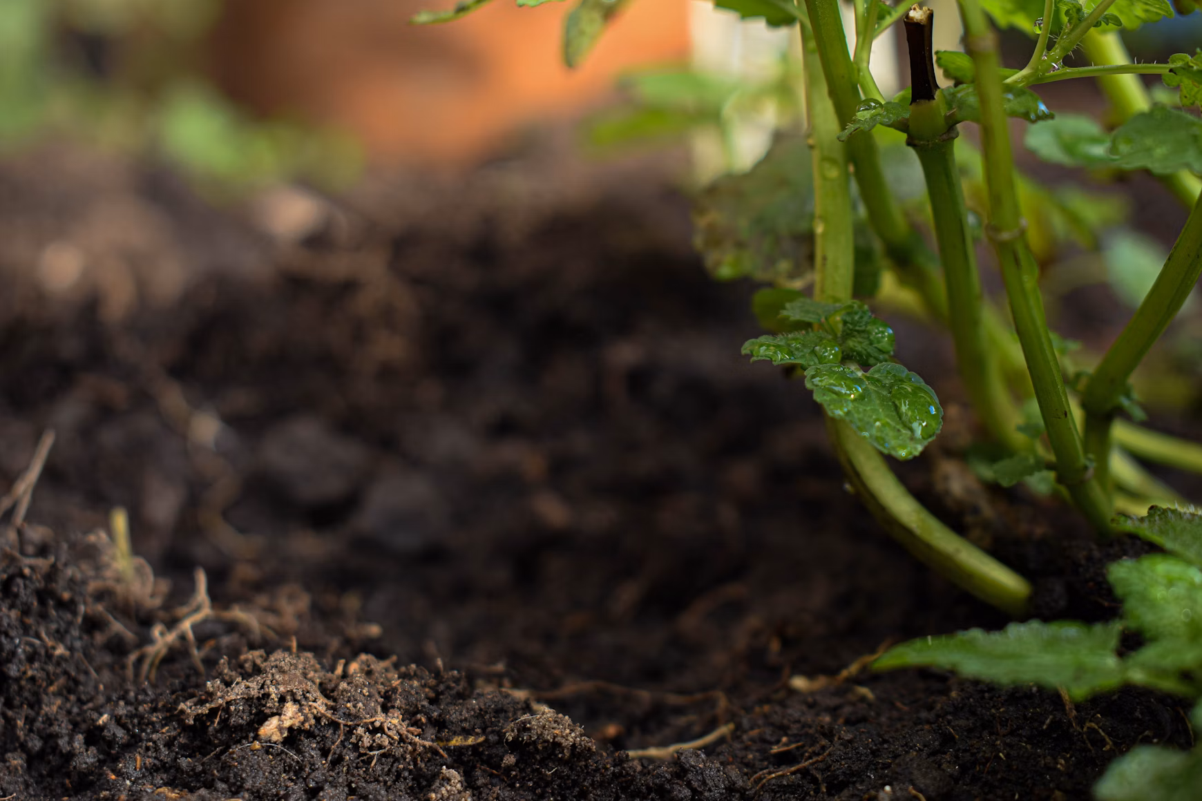 Fulvate-based Plant Growth Regulator
