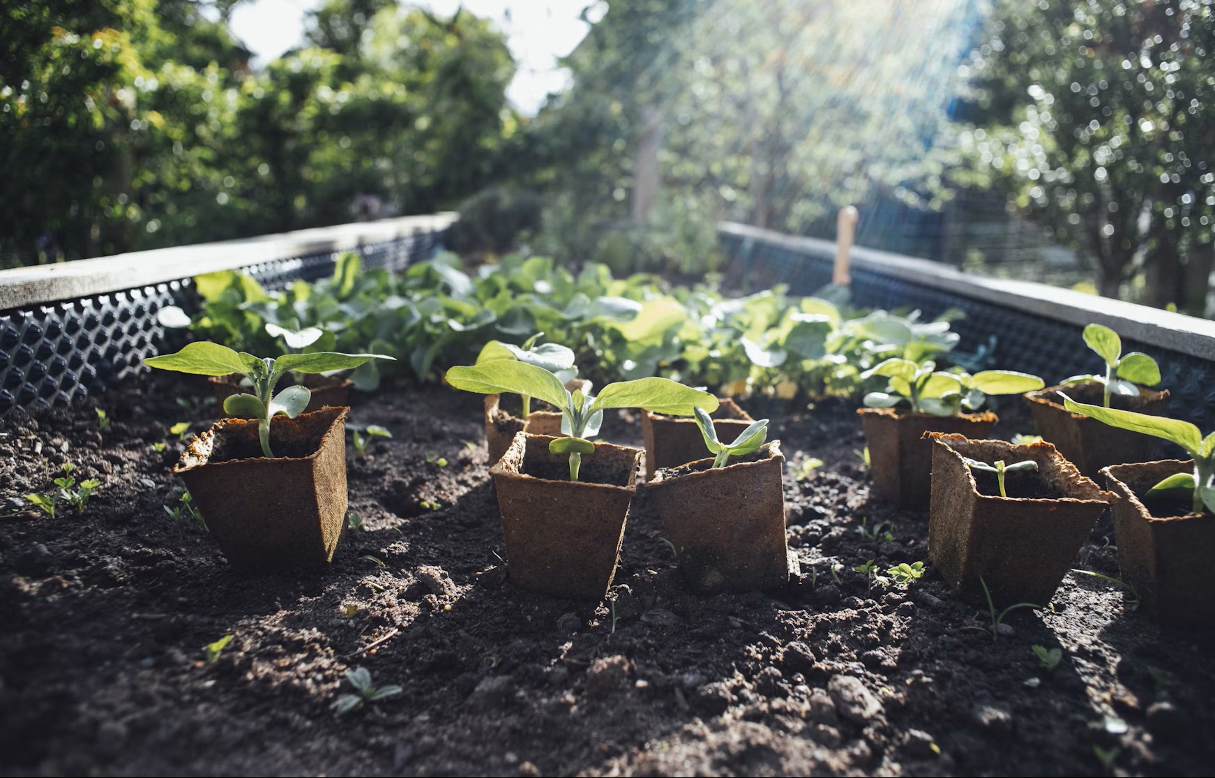 Fulvic acid vs humic