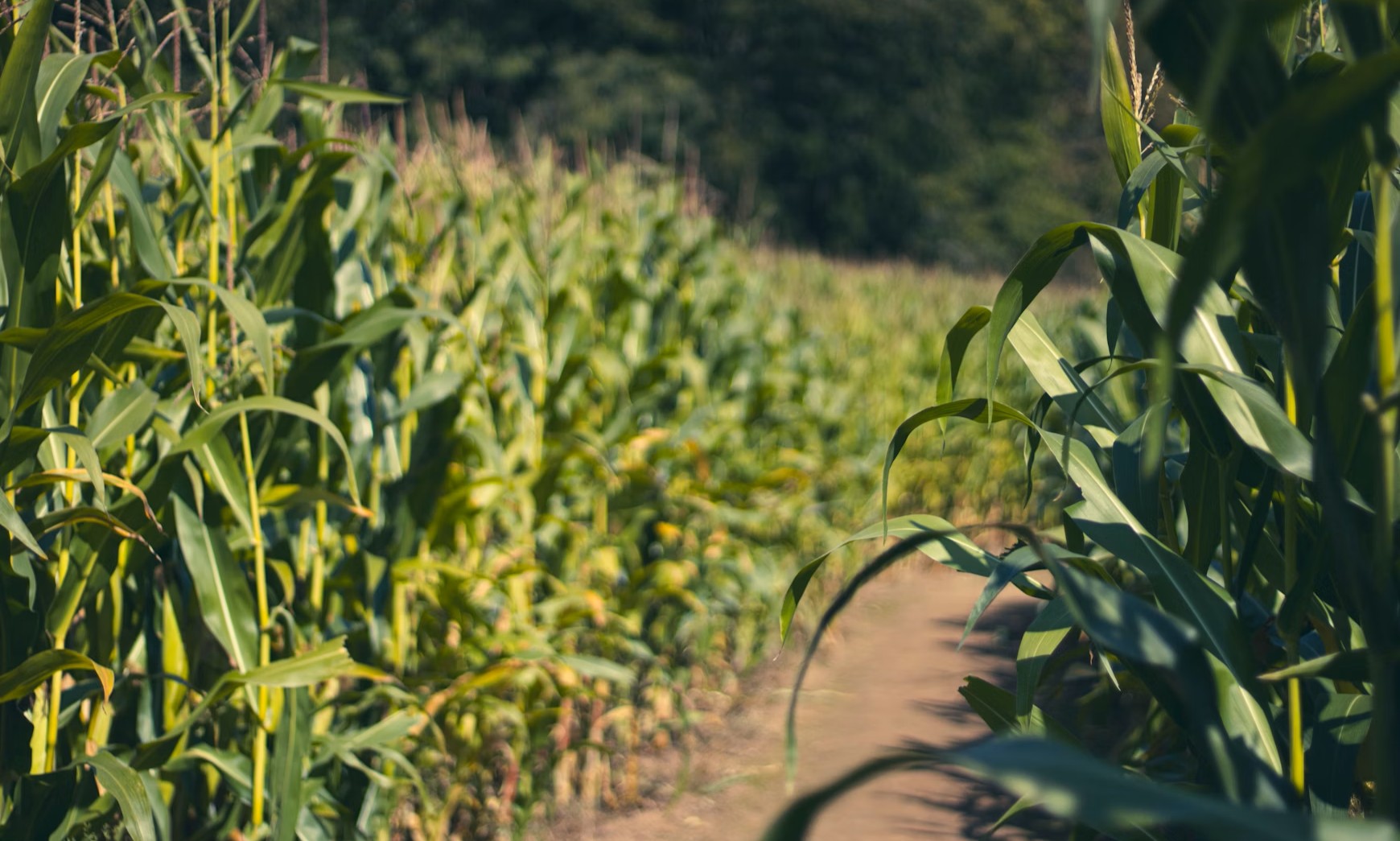 Humate suppliers near me