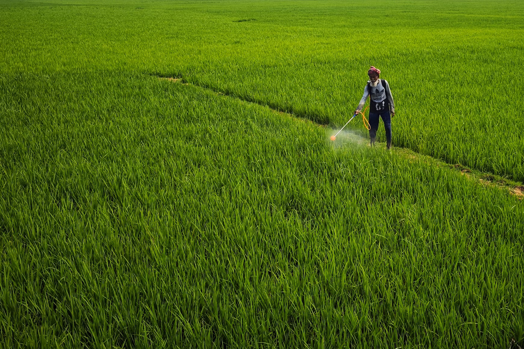Humate vs Humic Acid