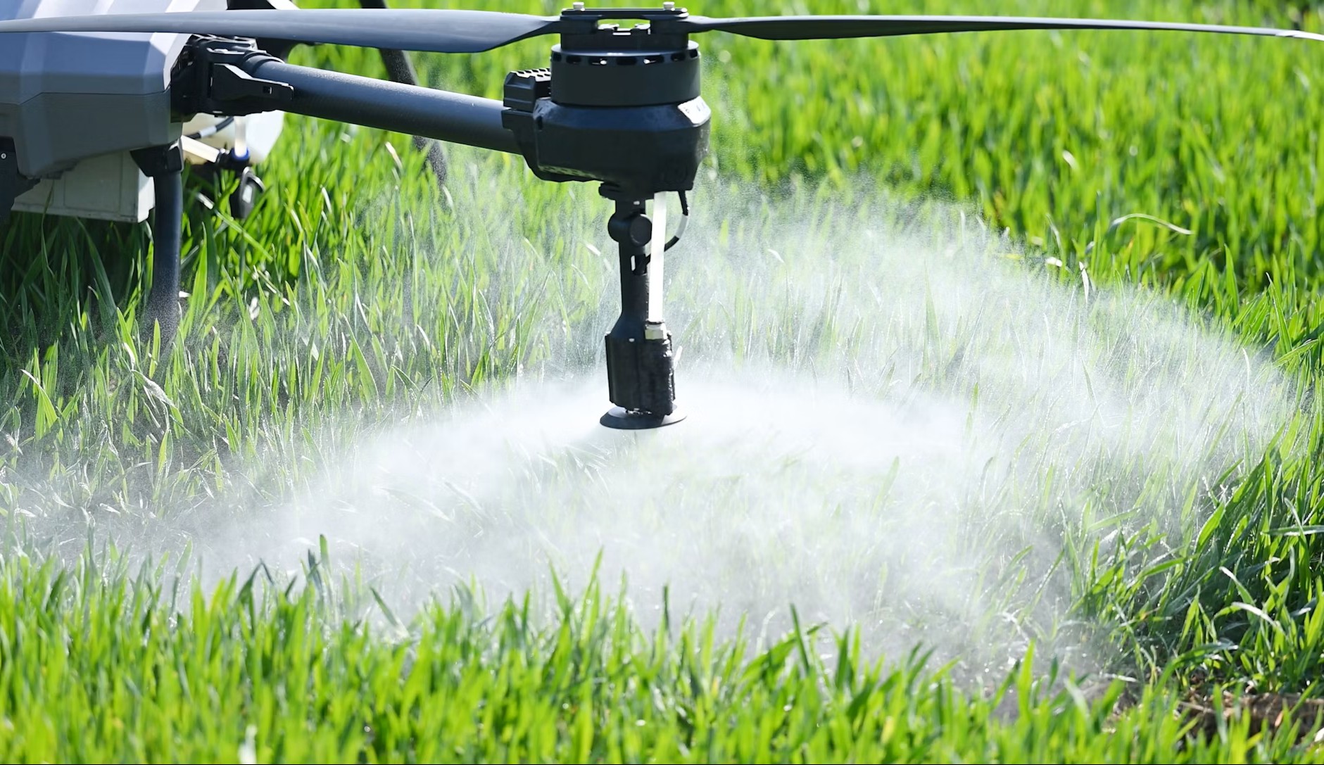 Humates used in fertilizer amendment
